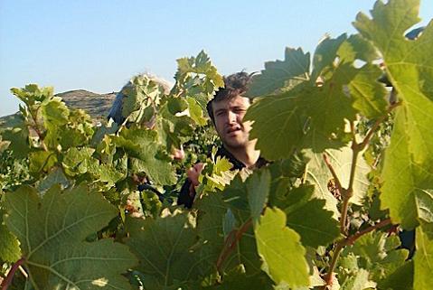 rioja3 La Rioja te invita a probar sus vinos